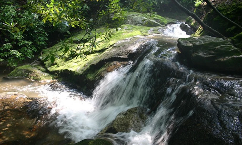 North Carolina Vacations image