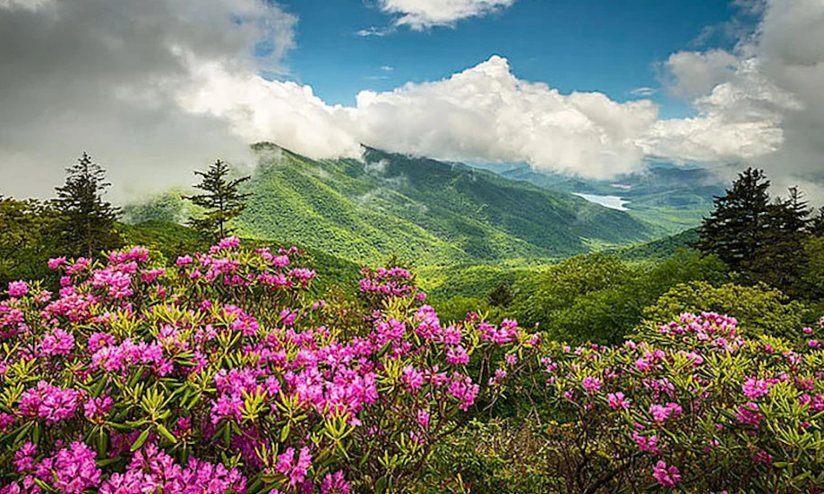 The Blue Ridge Parkway image