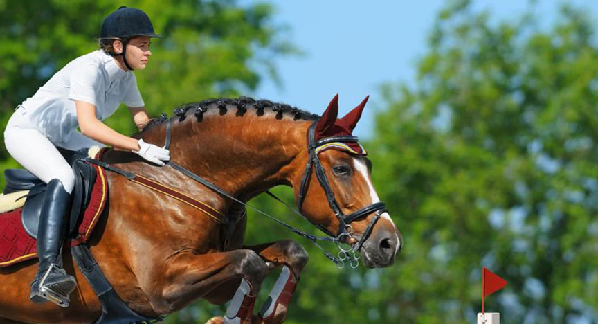The 2016 Annual Blowing Rock Charity Horse Show image
