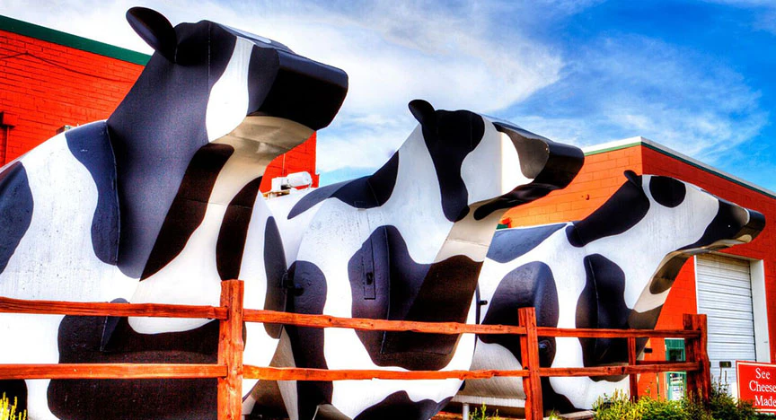 Ashe County Cheese - A Must-Visit Attraction in West Jefferson image