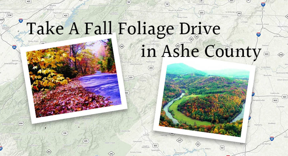 Take A Fall Foliage Drive in Ashe County image