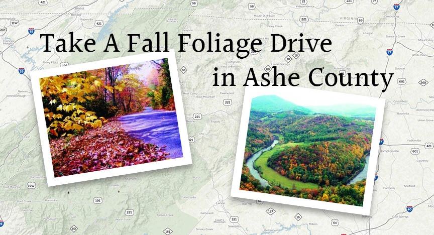 Take A Fall Foliage Drive in Ashe County image