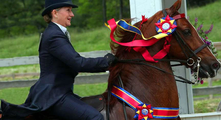 Blowing Rock Charity Horse Show image