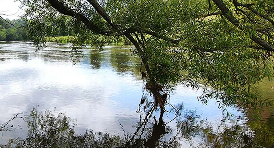 May Hikes in New River State Park image
