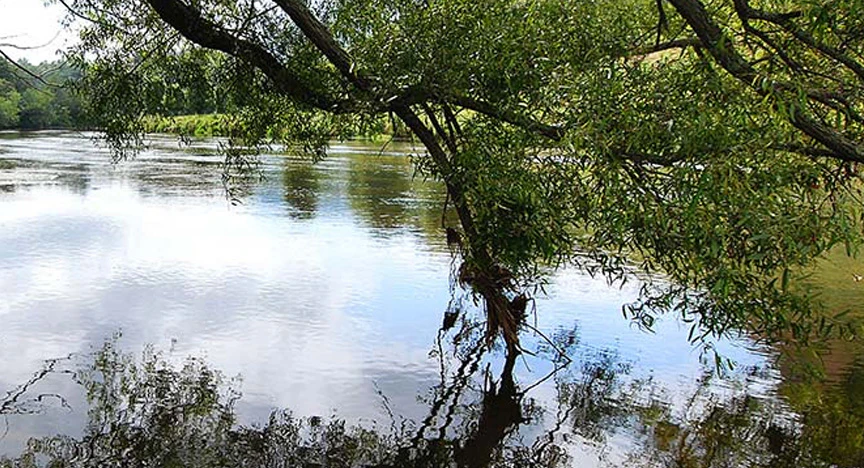 May Hikes in New River State Park  image
