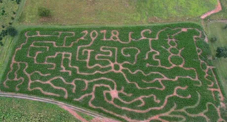 Ashe County Corn Maze and Pumpkin Patch in West Jefferson image