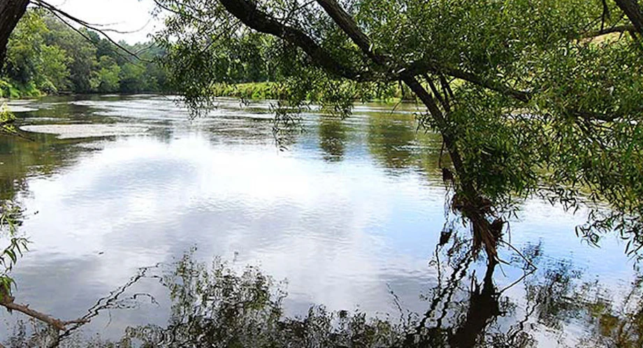 Upcoming Programs at New River State Park image