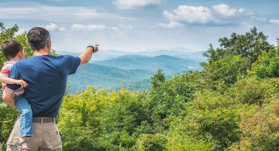 The Remarkable Rhododendron Ramble at Grandfather Mountain image