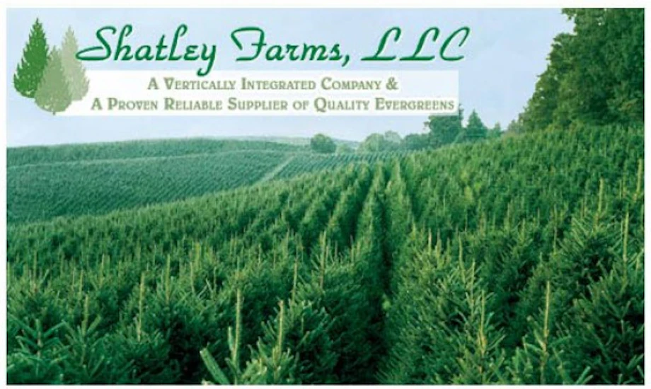 Ashe County Christmas Trees, Choose and Cut image