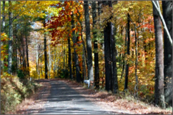 Autumn in Ashe County image