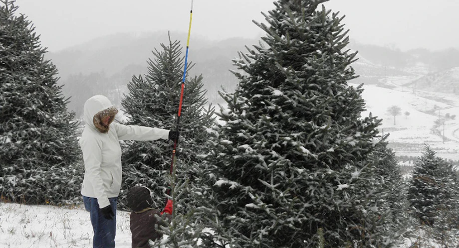 Does Christmas Begin in Ashe County? image
