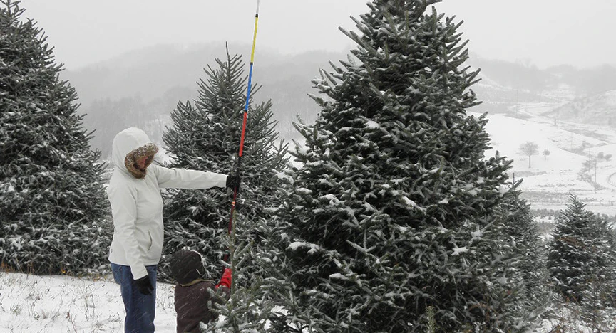Does Christmas Begin in Ashe County? image
