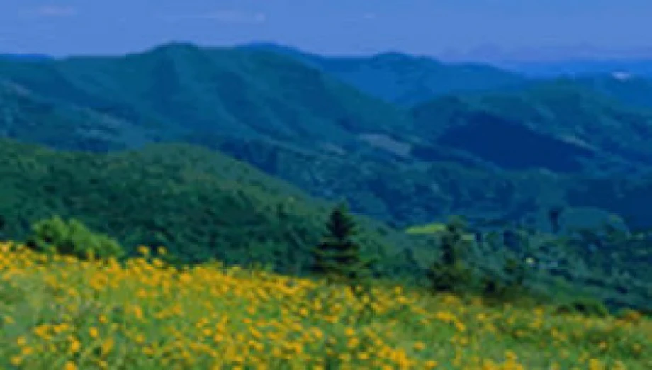 North Carolina Mountain Home in Ashe County NC image