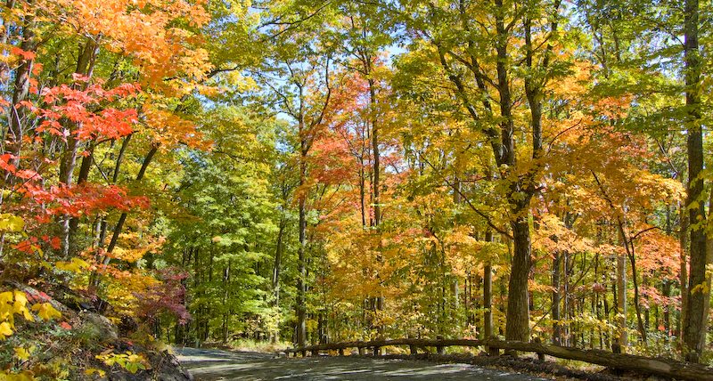 NC Mountains Leaf Season Ashe County image