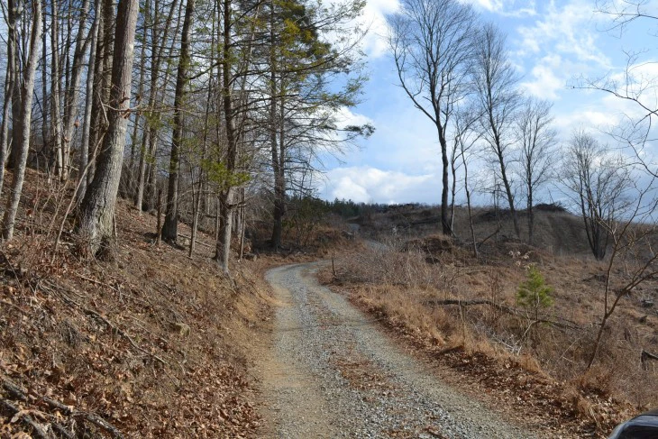 Blue Ridge Mountain Homes: A Virginia Mountain Hunting Paradise! image