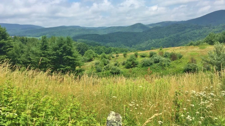 Blue Ridge Mountain Real Estate: Large Virginia Estate Tract image