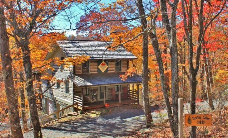 The Tree-top Cabin in Stonebridge! image