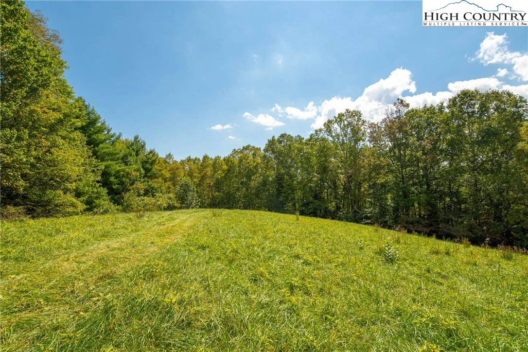 Image number 1 for the current listing