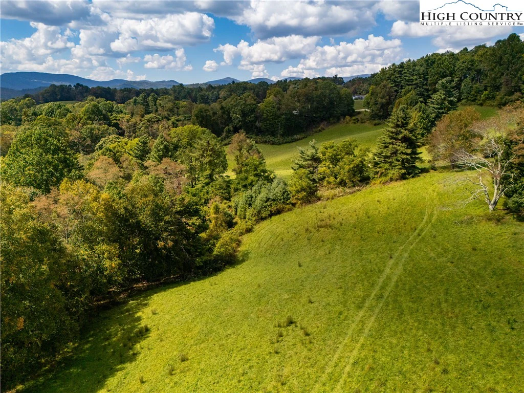 Image number 14 for the current listing
