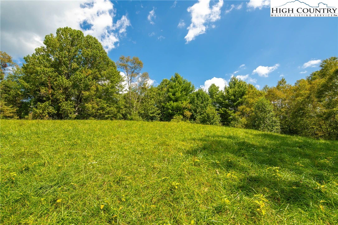 Image number 13 for the current listing