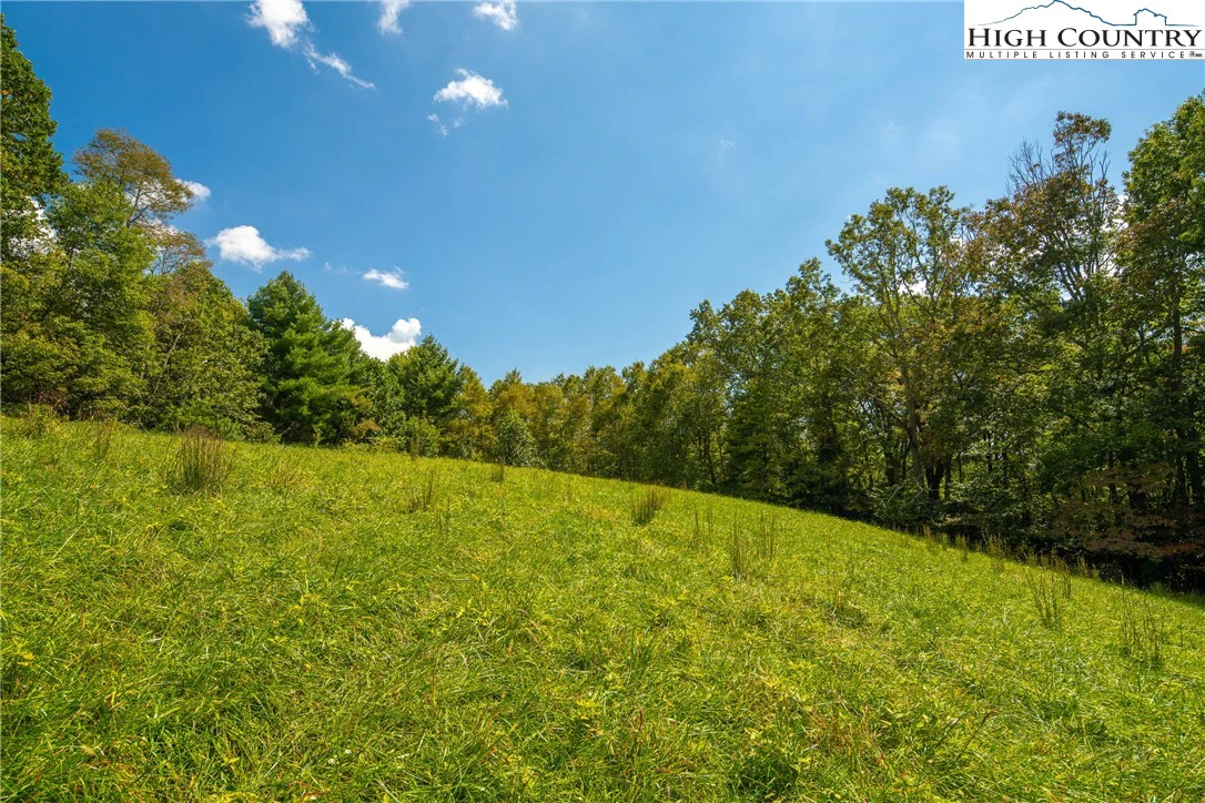 Image number 12 for the current listing