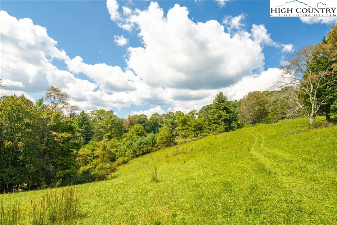 Image number 11 for the current listing