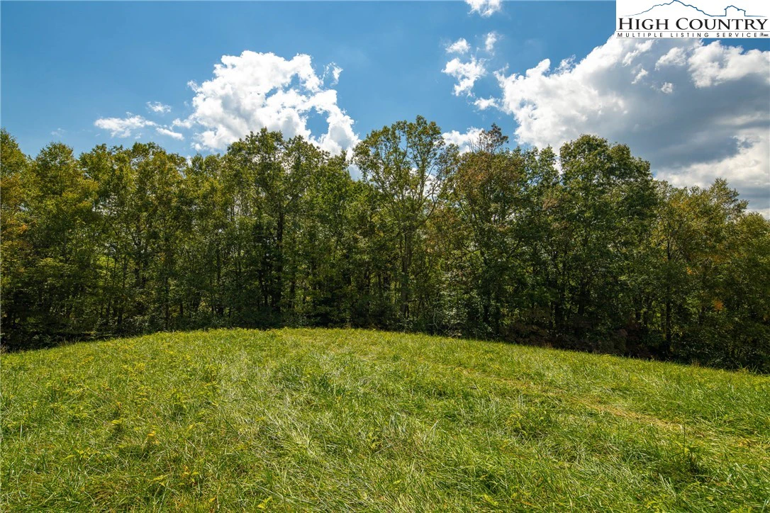Image number 2 for the current listing