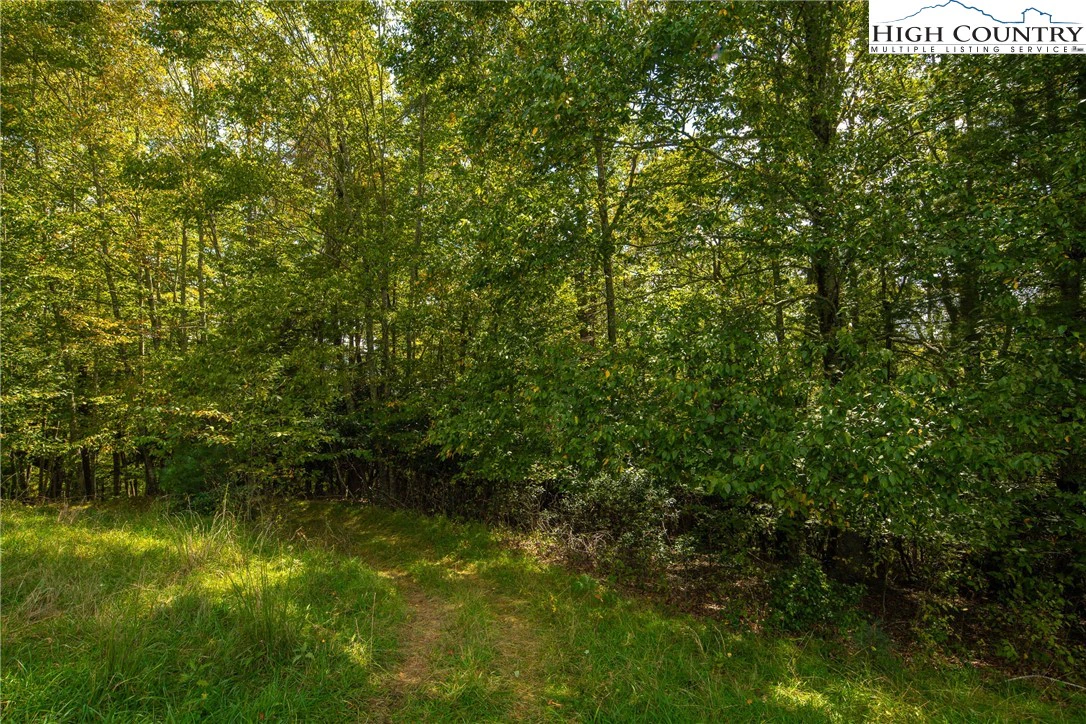 Image number 6 for the current listing