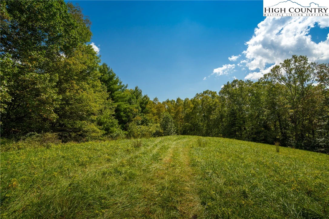 Image number 5 for the current listing