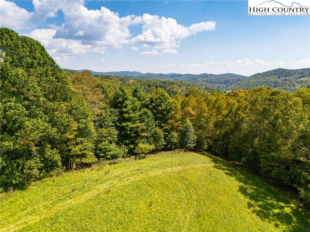Image number 4 for the current listing