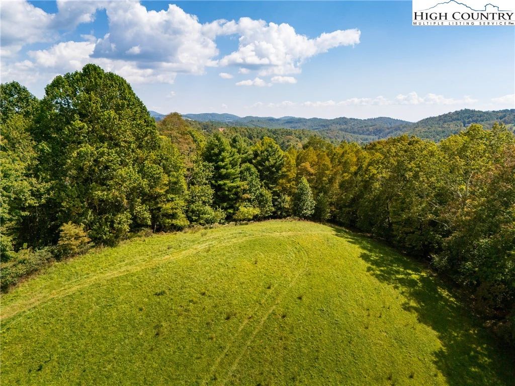 Image number 3 for the current listing
