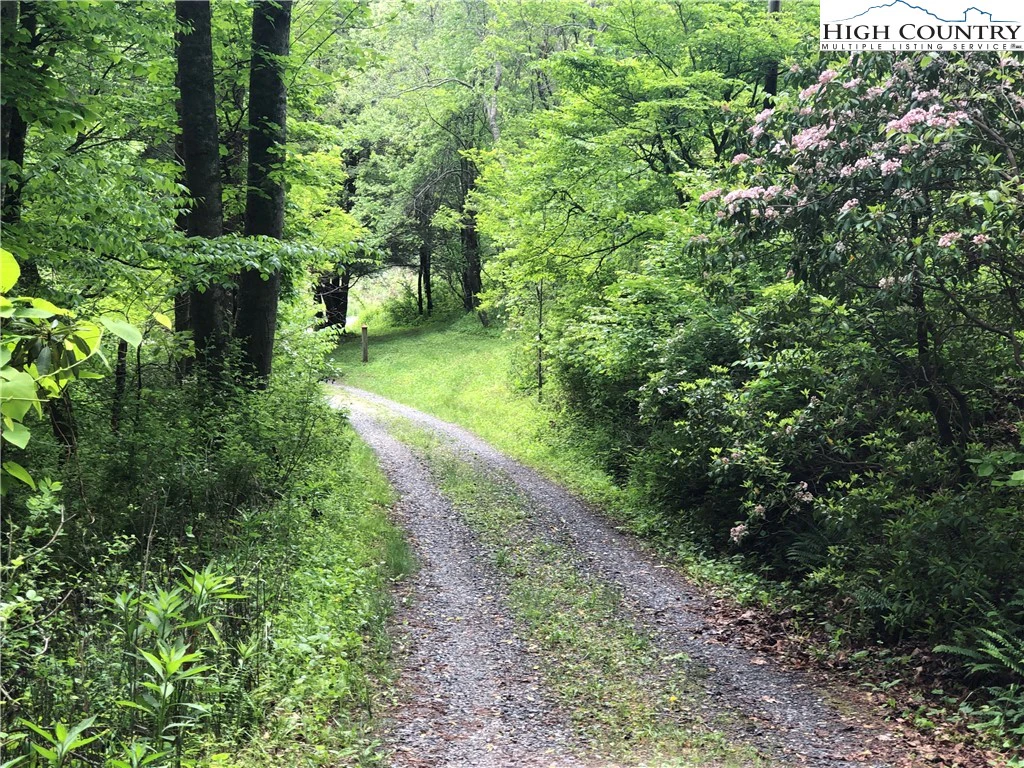 Image number 1 for the current listing