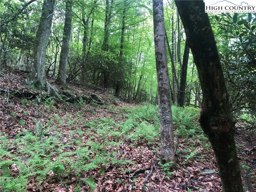 Image number 18 for the current listing