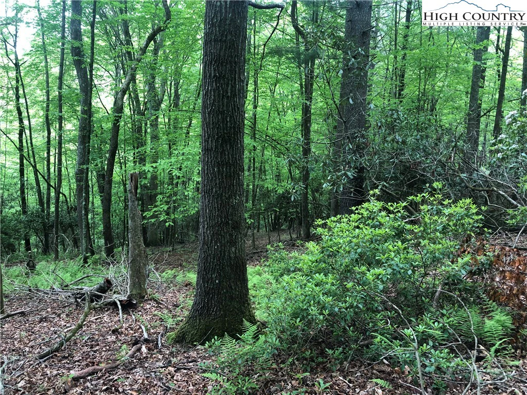 Image number 15 for the current listing