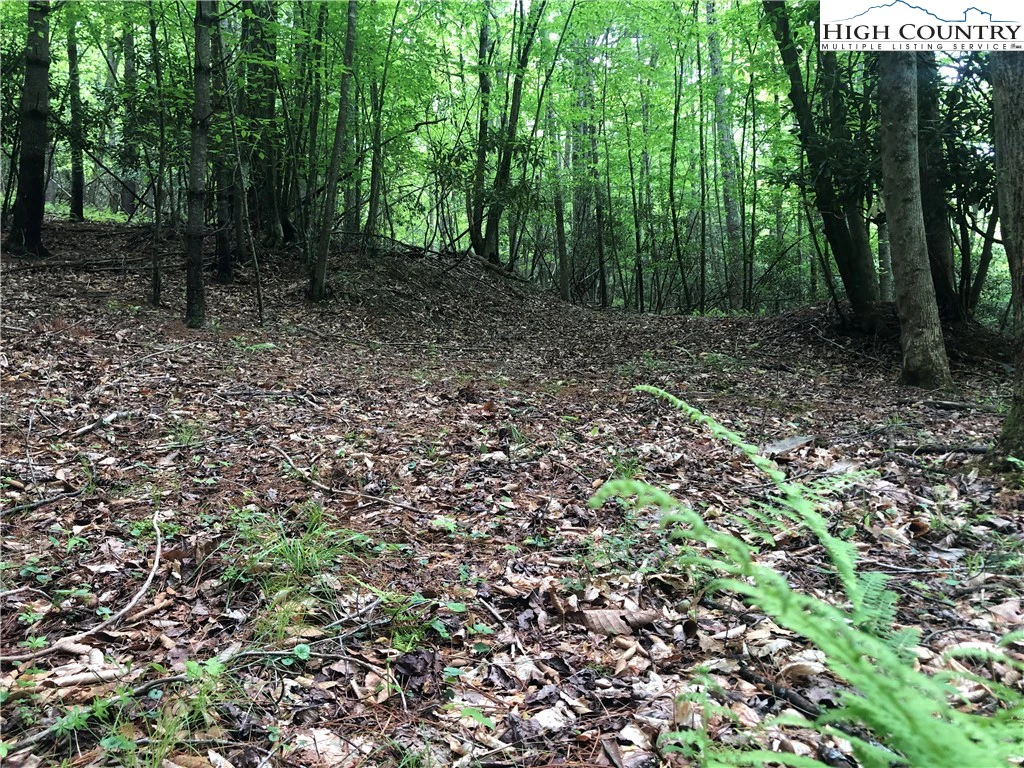Image number 14 for the current listing