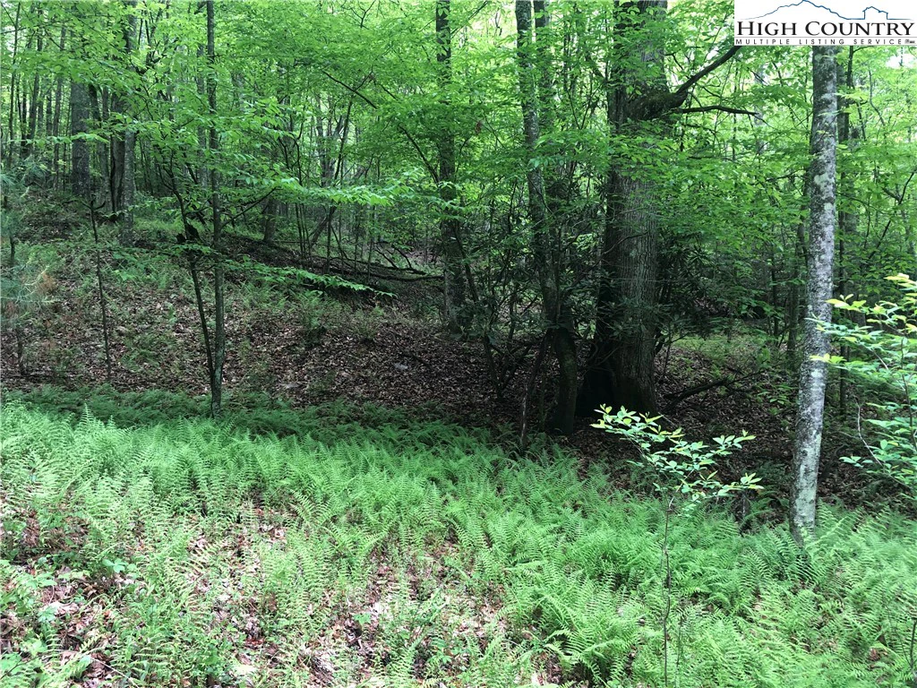 Image number 12 for the current listing