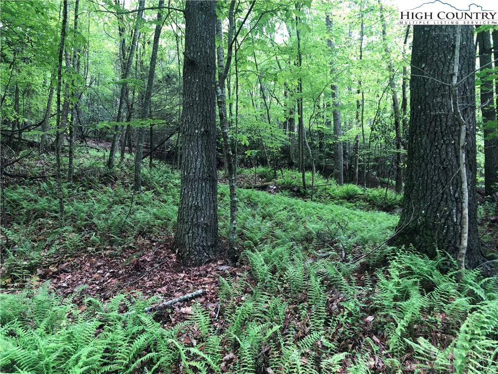 Image number 11 for the current listing