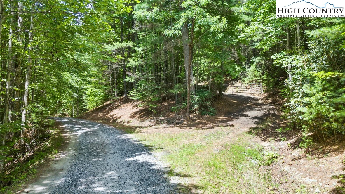 Image number 3 for the current listing
