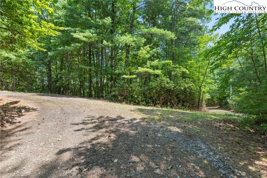 Image number 5 for the current listing