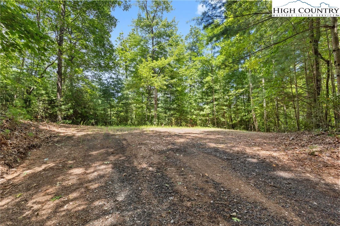 Image number 6 for the current listing