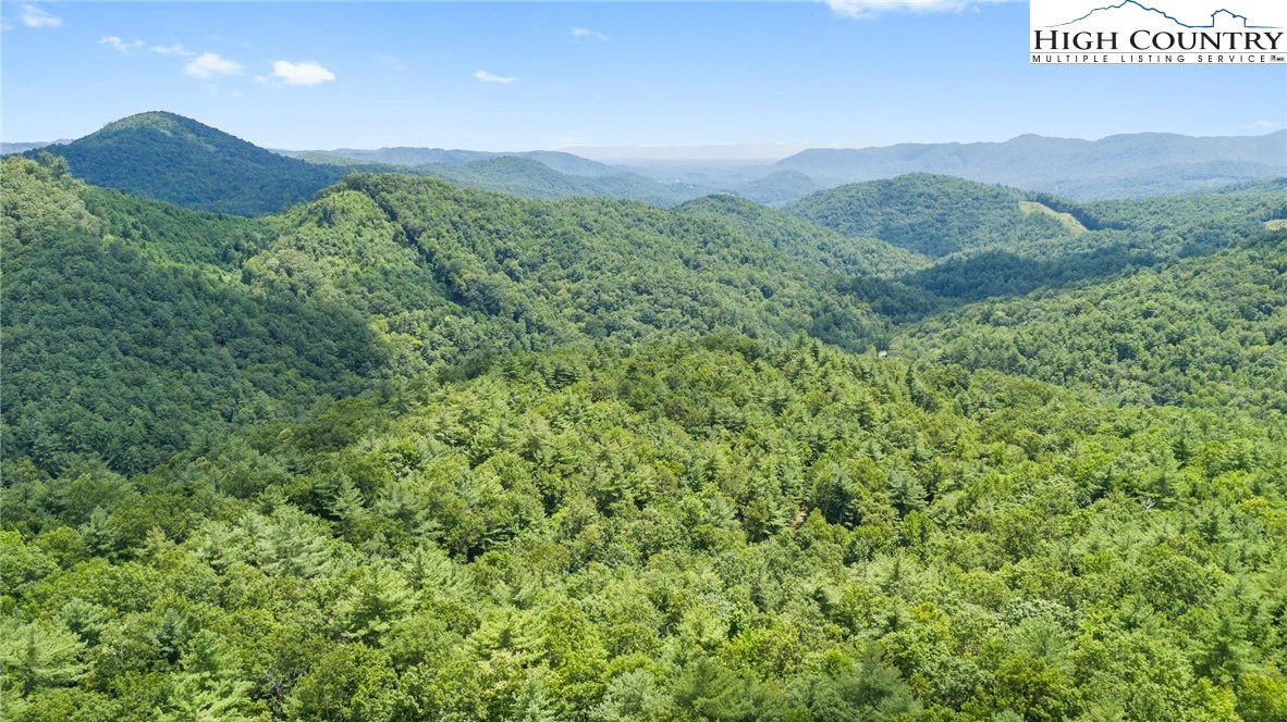 Image number 7 for the current listing