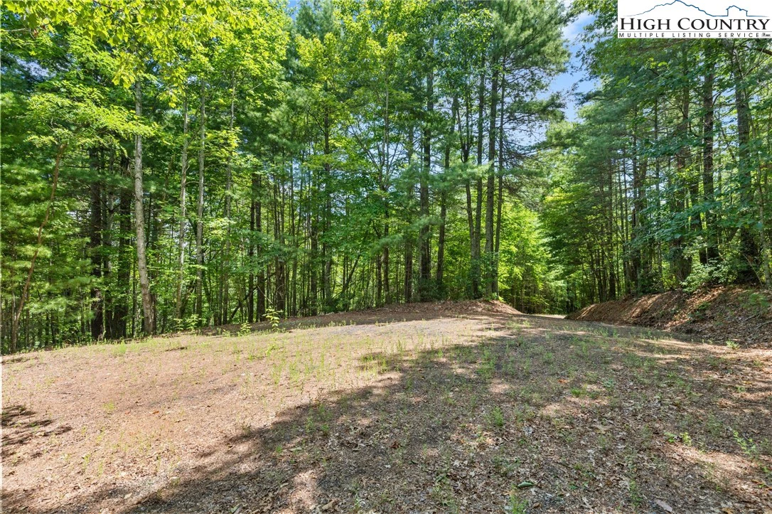 Image number 8 for the current listing