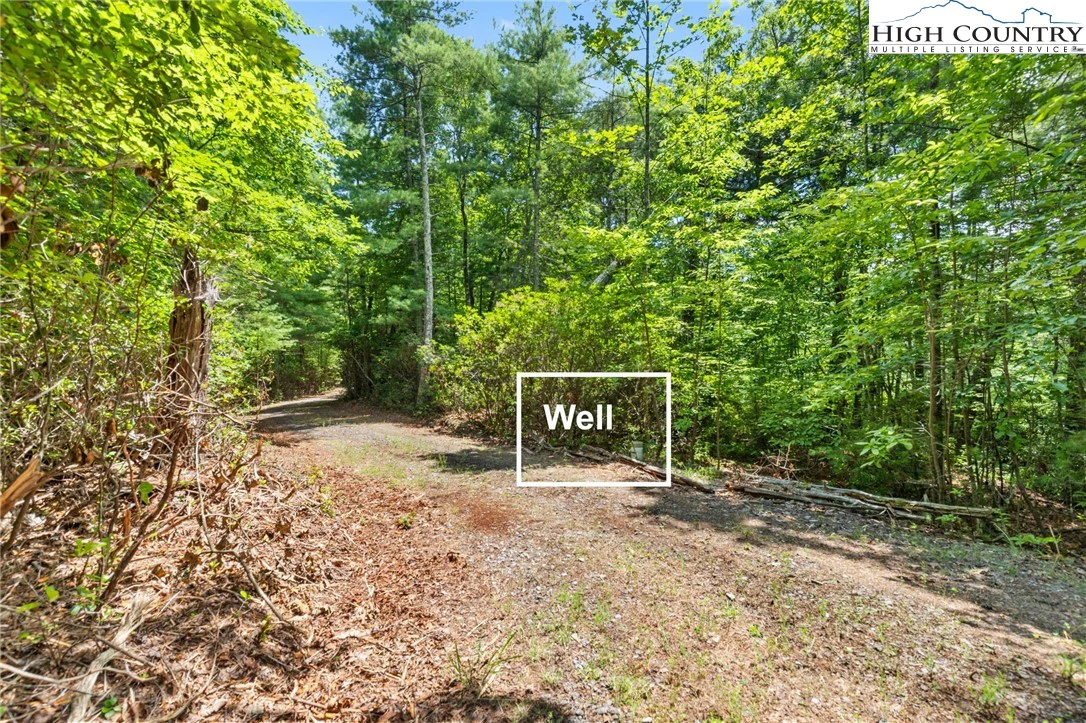 Image number 9 for the current listing
