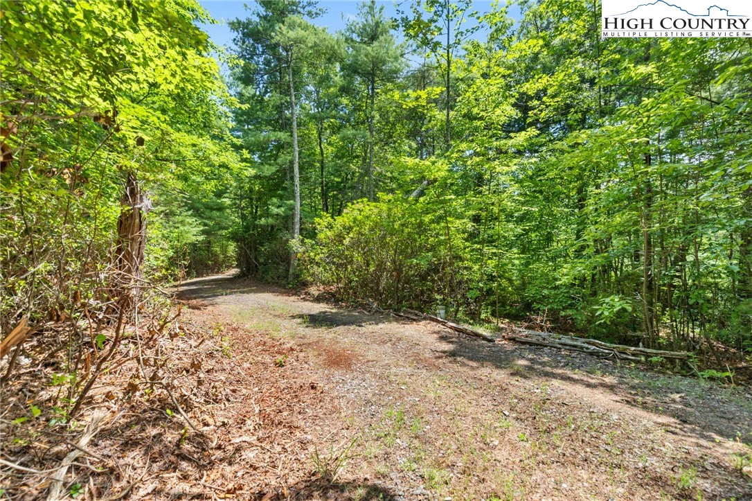 Image number 10 for the current listing
