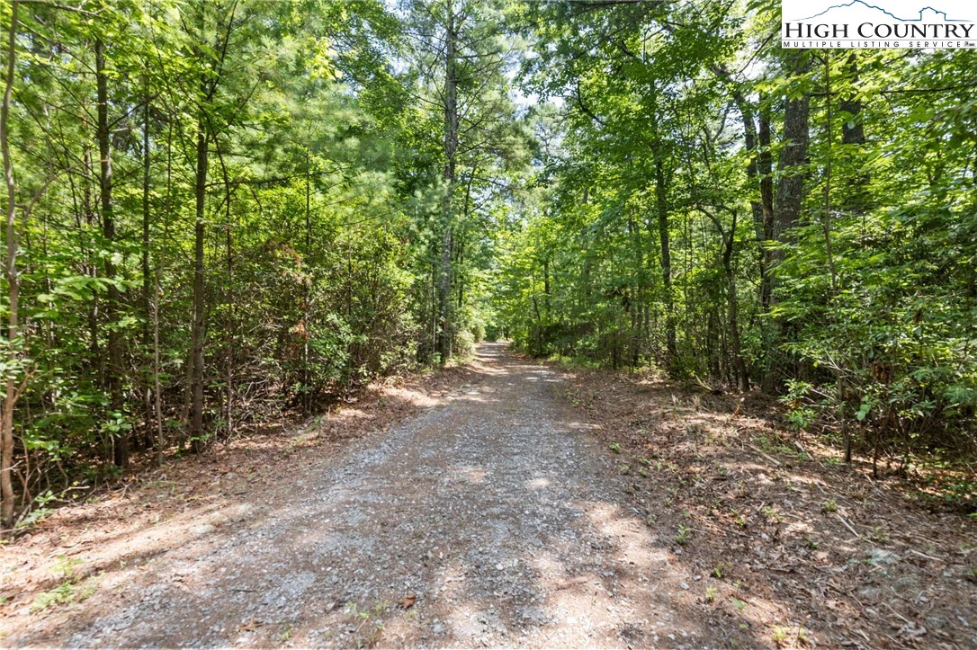 Image number 11 for the current listing