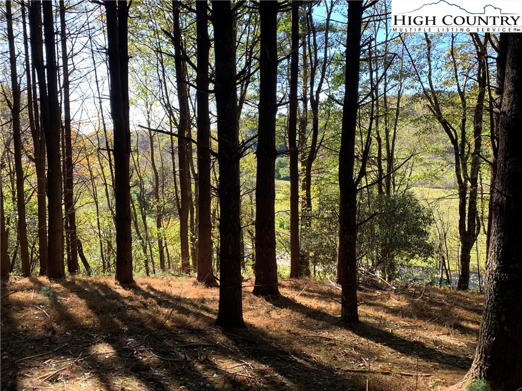 Image number 2 for the current listing