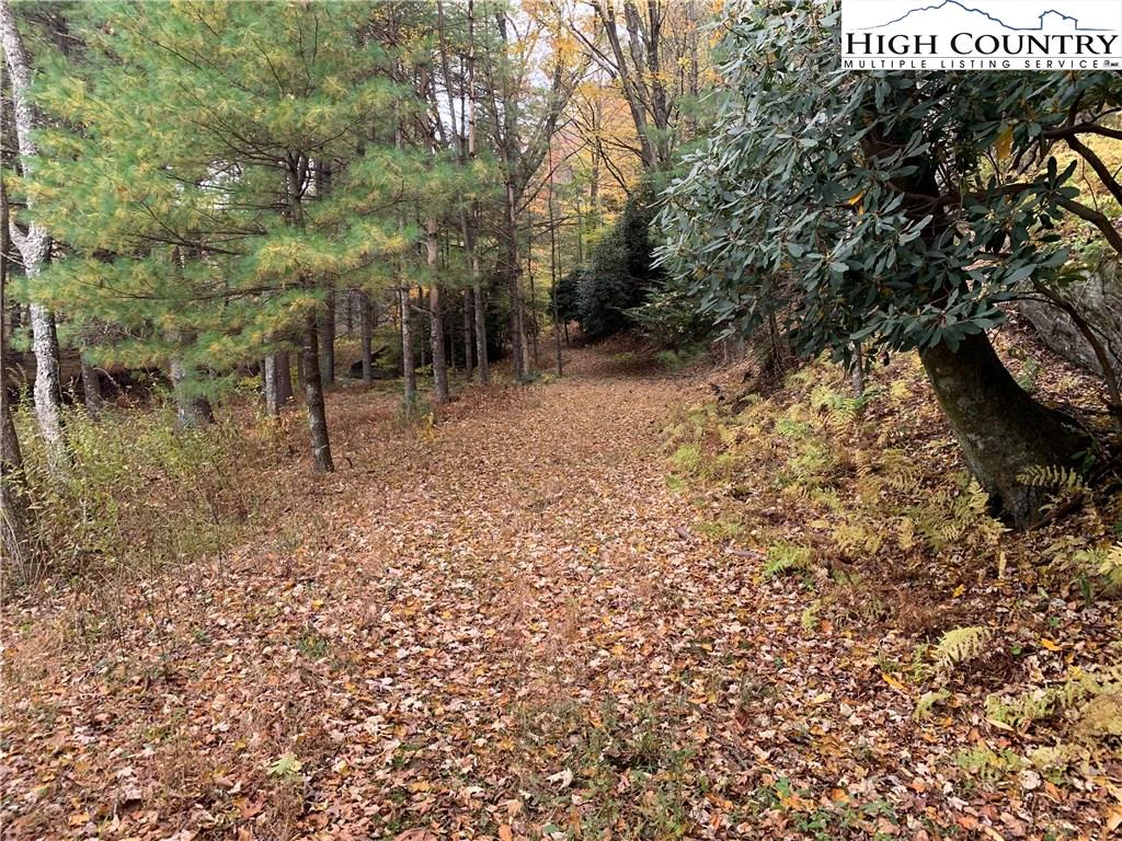 Image number 13 for the current listing