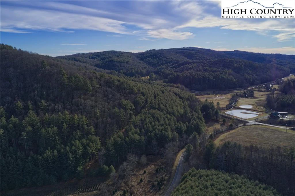 Image number 6 for the current listing