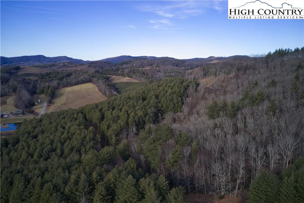 Image number 5 for the current listing