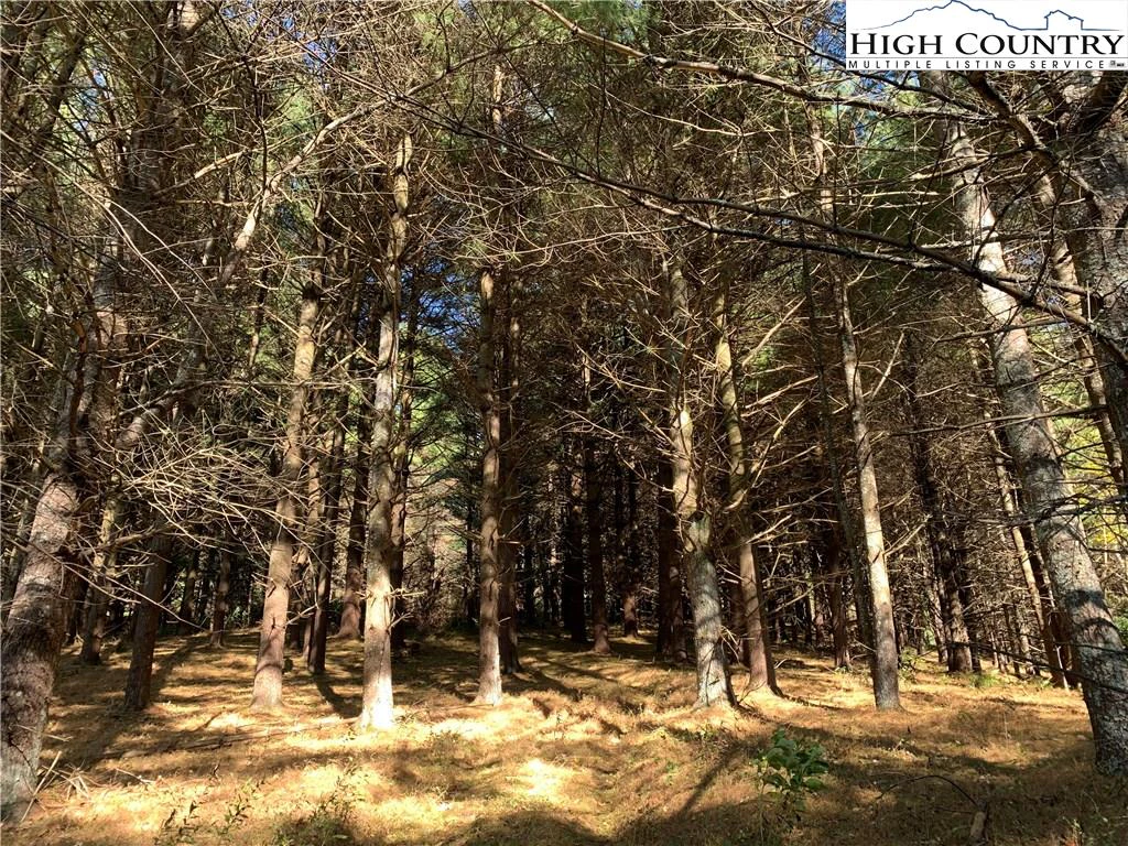 Image number 21 for the current listing